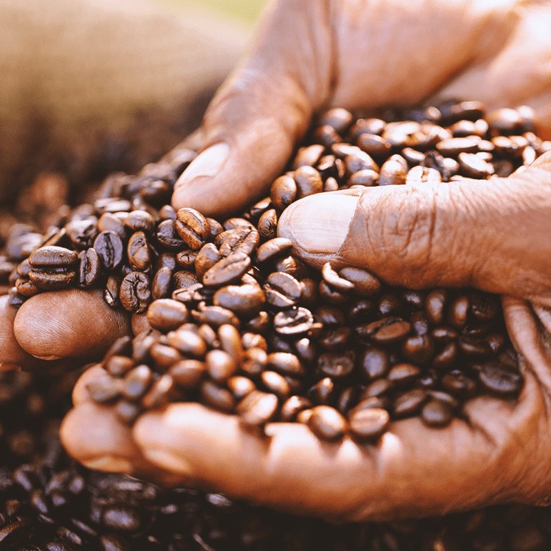 kaffeebohnen_800x800 kaffeebohnen_800x800